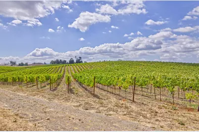 1450 Stage Gulch Road, Petaluma, CA 94954 - Photo 2