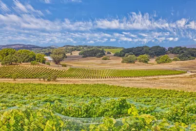 1450 Stage Gulch Road, Petaluma, CA 94954 - Photo 4