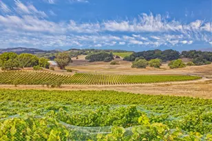 1450 Stage Gulch Rd, Petaluma, CA 94954 - Photo 4