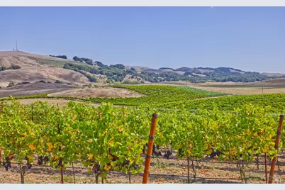 1450 Stage Gulch Road, Petaluma, CA 94954 - Photo 10