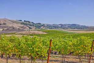 1450 Stage Gulch Rd, Petaluma, CA 94954 - Photo 10