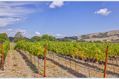 1450 Stage Gulch Road, Petaluma, CA 94954 - Photo 18