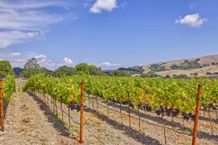 1450 Stage Gulch Rd, Petaluma, CA 94954 - Photo 18