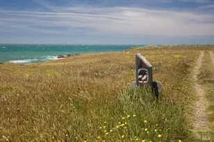 1101 River Beach Rd, The Sea Ranch, CA 95497 - Photo 40