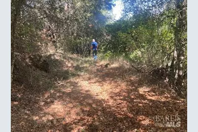 9600 McKinley Drive, Kelseyville, CA 95451 - Photo 24