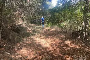 9600 McKinley Dr, Kelseyville, CA 95451 - Photo 24