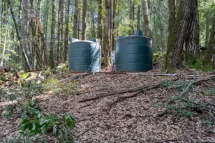 30651 Timberline Rd, Willits, CA 95490 - Photo 28