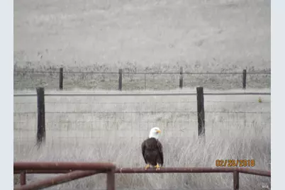 314 Lariat Drive, Pope Valley, CA 94567 - Photo 50