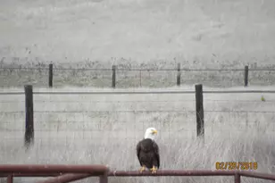 314 Lariat Dr, Pope Valley, CA 94567 - Photo 50