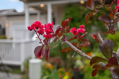 125 Anish Way, Windsor, CA 95492 - Photo 36