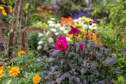 125 Anish Way, Windsor, CA 95492 - Photo 38