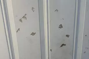 237 Grapewood St, Vallejo, CA 94591 - Photo 28