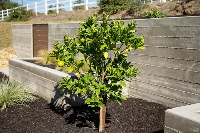 208 Ursuline Road, Santa Rosa, CA 95403 - Photo 12