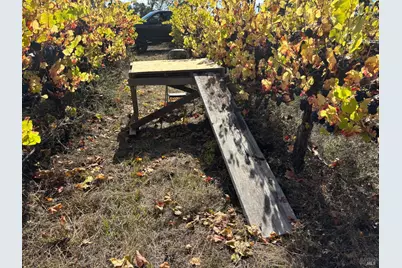 1100 Hart Lane, Fulton, CA 95439 - Photo 24