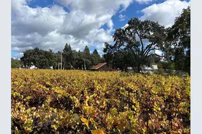 1100 Hart Lane, Fulton, CA 95439 - Photo 16