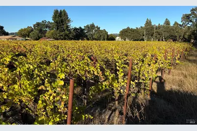 1100 Hart Lane, Fulton, CA 95439 - Photo 8