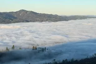 1180 Crestmont Dr, Angwin, CA 94508 - Photo 38