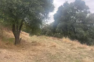 1320 Sanford Ranch Rd, Ukiah, CA 95482 - Photo 1