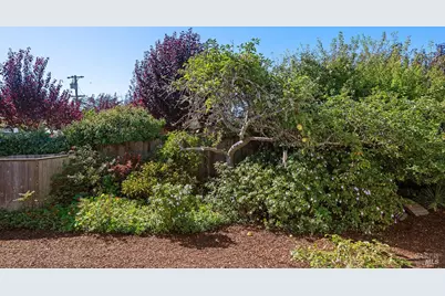 40 Arenal Avenue, Stinson Beach, CA 94970 - Photo 68