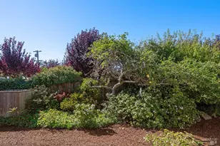 40 Arenal Ave, Stinson Beach, CA 94970 - Photo 68
