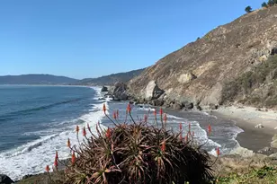 40 Arenal Ave, Stinson Beach, CA 94970 - Photo 76