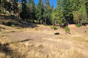 41390 Mendocino Pass Rd, Covelo, CA 95428 - Photo 6