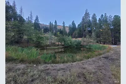 41390 Mendocino Pass Road, Covelo, CA 95428 - Photo 44