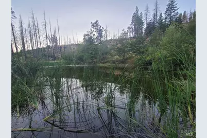 41390 Mendocino Pass Road, Covelo, CA 95428 - Photo 42