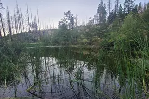 41390 Mendocino Pass Rd, Covelo, CA 95428 - Photo 42