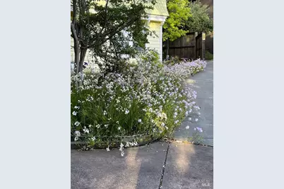 113 Heidi Lane, Cloverdale, CA 95425 - Photo 70