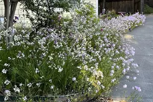 113 Heidi Ln, Cloverdale, CA 95425 - Photo 70