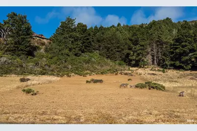 43650 Sea Cypress Drive, Manchester, CA 95459 - Photo 14