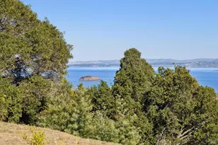 19 Mliss Ln, San Rafael, CA 94901 - Photo 22