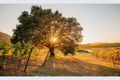 5561 Sonoma Mountain Road, Santa Rosa, CA 95404 - Photo 56