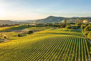 5561 Sonoma Mountain Rd, Santa Rosa, CA 95404 - Photo 4