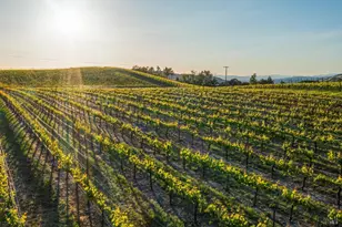 5561 Sonoma Mountain Rd, Santa Rosa, CA 95404 - Photo 52