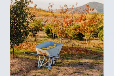 5561 Sonoma Mountain Road, Santa Rosa, CA 95404 - Photo 60