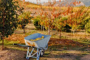 5561 Sonoma Mountain Rd, Santa Rosa, CA 95404 - Photo 60