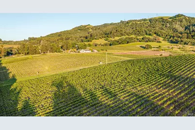 5561 Sonoma Mountain Road, Santa Rosa, CA 95404 - Photo 48