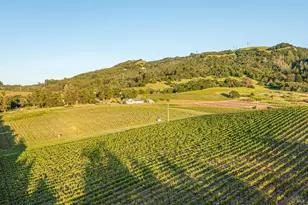 5561 Sonoma Mountain Rd, Santa Rosa, CA 95404 - Photo 48