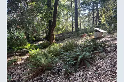 51901 Stivers Road, Laytonville, CA 95454 - Photo 12