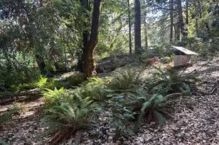 51901 Stivers Rd, Laytonville, CA 95454 - Photo 12