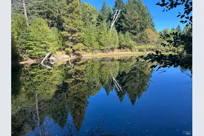 51901 Stivers Road, Laytonville, CA 95454 - Photo 18