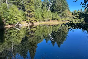 51901 Stivers Rd, Laytonville, CA 95454 - Photo 18