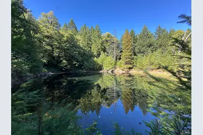 51901 Stivers Road, Laytonville, CA 95454 - Photo 1