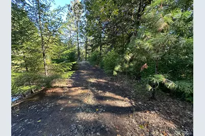 51901 Stivers Road, Laytonville, CA 95454 - Photo 24