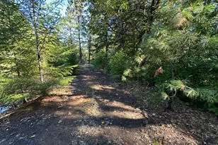 51901 Stivers Rd, Laytonville, CA 95454 - Photo 24