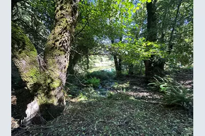 51901 Stivers Road, Laytonville, CA 95454 - Photo 20