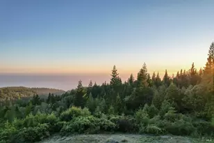 44801 Fish Rock Rd, Gualala, CA 95445 - Photo 18