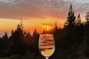 44801 Fish Rock Rd, Gualala, CA 95445 - Photo 6